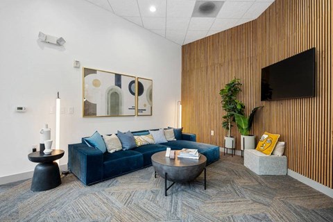 a living room with a blue couch and a television